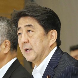 「移民みたいな政策」に前向きだった（Ｃ）日刊ゲンダイ