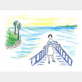 イラスト・沢野ひとし