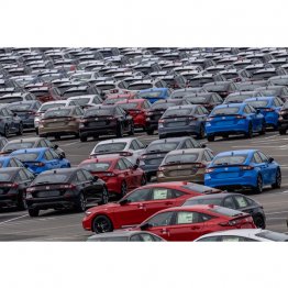 この5カ月間で最大約3600億円もの損失が出ている可能性のある企業も…（米サンフランシスコ州の港で待機する日本の新車）／（Ｃ）ロイター