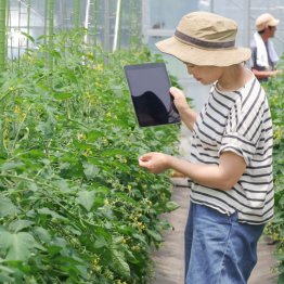 タブレットやスマホでデータ管理