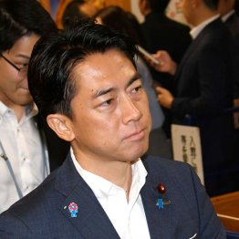 またもや首相に鈴をつけ…（小泉進次郎農相）／（Ｃ）日刊ゲンダイ