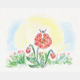 イラスト・沢野ひとし