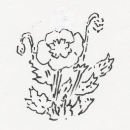 イラスト・沢野ひとし