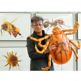 テレビ局の小道具担当が制作した「マダニ」／（Ｃ）日刊ゲンダイ