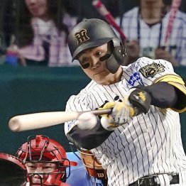 森下翔太はこれまで全試合出場（Ｃ）共同通信社