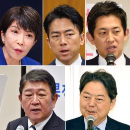 このメンメンがこんな茶番劇で3週間も？（Ｃ）日刊ゲンダイ