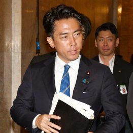 「セクシー」な選挙戦を展開するのか（Ｃ）日刊ゲンダイ