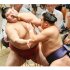 熱海富士（左）を寄り切る豊昇龍（Ｃ）日刊ゲンダイ