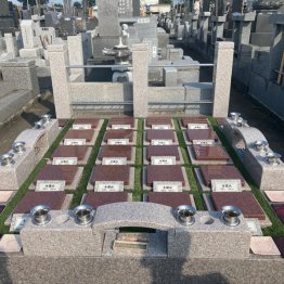 見性院の樹木葬のお墓（提供写真）