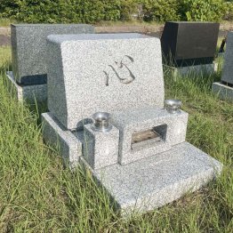 芝生墓地（Ｃ）日刊ゲンダイ