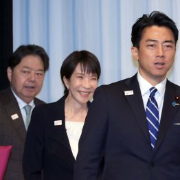 ホントはヤル気なし（Ｃ）J ＭＰＡ