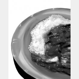 イラスト・宮坂猛