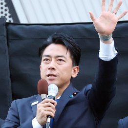 「進次郎構文」封印がアダ（Ｃ）日刊ゲンダイ