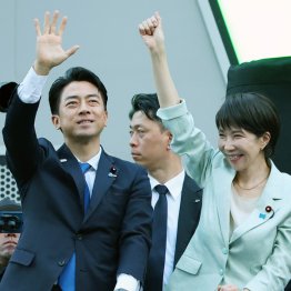 市場が歓迎するのは高市氏か小泉氏か（Ｃ）日刊ゲンダイ