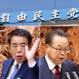 やっぱり（下村博文元文科相＝左下）、偽装工作（世耕弘成元経産相＝右下）／（Ｃ）日刊ゲンダイ