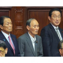 いつも担ぎ手は同じ（Ｃ）日刊ゲンダイ