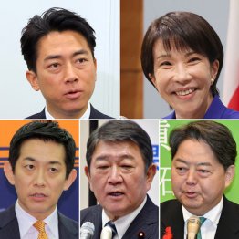 下馬評通り？（Ｃ）日刊ゲンダイ