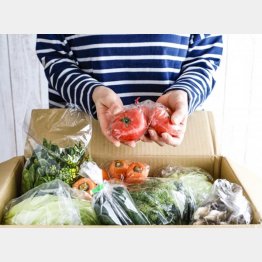 特産品の詰め合わせも人気