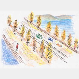 イラスト・沢野ひとし