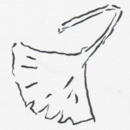 イラスト・沢野ひとし