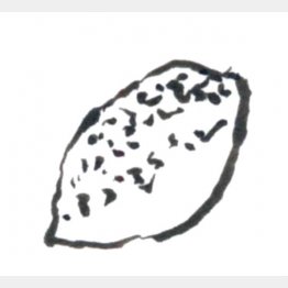 イラスト・沢野ひとし