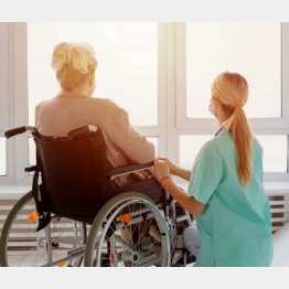 写真はイメージ