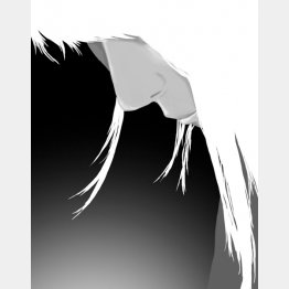 イラスト・宮坂猛