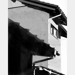 イラスト・宮坂猛