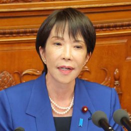 正体は見えた（Ｃ）日刊ゲンダイ