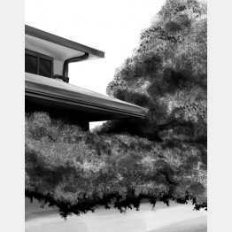 イラスト・宮坂猛