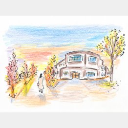 イラスト・沢野ひとし