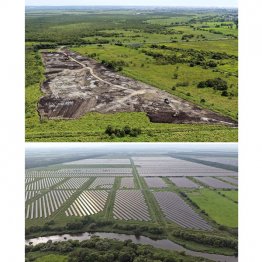 北海道・釧路湿原のメガソーラー建設現場（上）とすでに自然を破壊し開墾して建設が完了したエリア（下）／（Ｃ）共同通信社