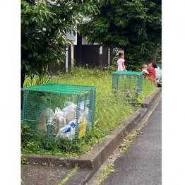 頭を悩ませるゴミ出し問題（提供）筆者