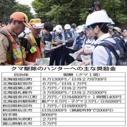 ハンターへの報酬額も増える傾向に（Ｃ）日刊ゲンダイ