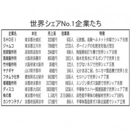 （Ｃ）日刊ゲンダイ