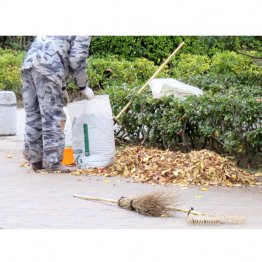 ただし、嫌なこともある…