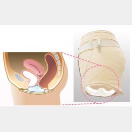 フェミクッションの仕組み（提供写真）