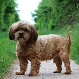 （写真はイメージ）／（Ｃ）iStock