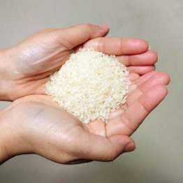 写真はイメージ