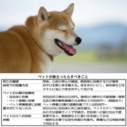 その日が来てしまったら…（Ｃ）日刊ゲンダイ
