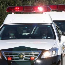 元小学校教諭の田中耕一郎容疑者は在職中も犯行を繰り返していた可能性も（写真はイメージ）／（Ｃ）日刊ゲンダイ