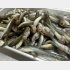 「年魚」のため川臭さは皆無（Ｃ）日刊ゲンダイ