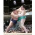 豊昇龍（左）が寄り切りで一山本を下す（Ｃ）共同通信社