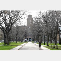 北海道大学（Ｃ）日刊ゲンダイ