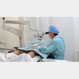 手術は日帰りOK（提供写真）