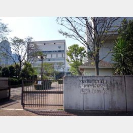 「国際系」の人気が上昇中（Ｃ）日刊ゲンダイ