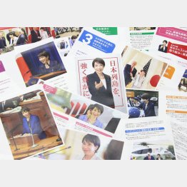 自民党の政策パンフレット（Ｃ）日刊ゲンダイ