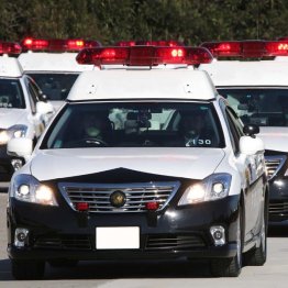 中国人売春あっせんグループの中国籍男女6人を逮捕（写真はイメージ）／（Ｃ）日刊ゲンダイ