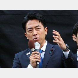 小泉進次郎は盤石（Ｃ）日刊ゲンダイ