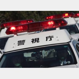 日本人男性の恥さらしだ（写真はイメージ）／（Ｃ）日刊ゲンダイ